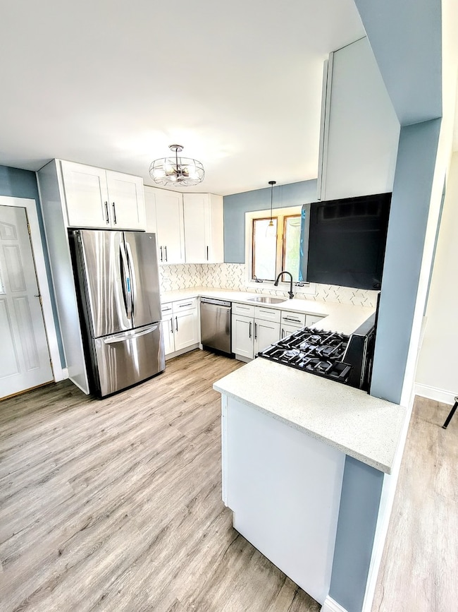 12832 W Brooke Ave, Waukegan, IL 60087 - photo 2