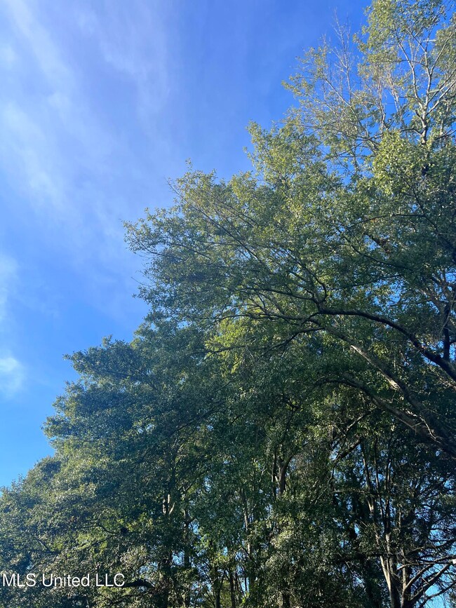 Unassigned Hines Cir, Braxton, MS 39044 - photo 7