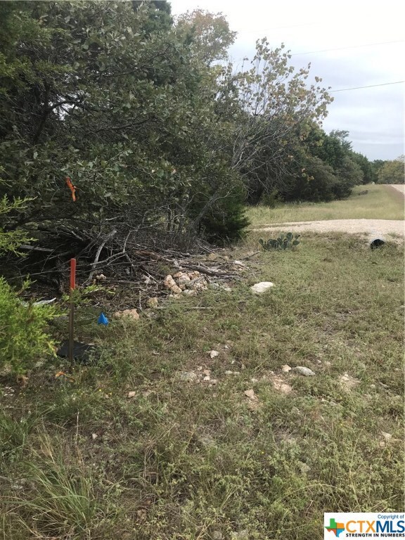 15752 Salado Dr, Temple, TX 76502 - photo 6