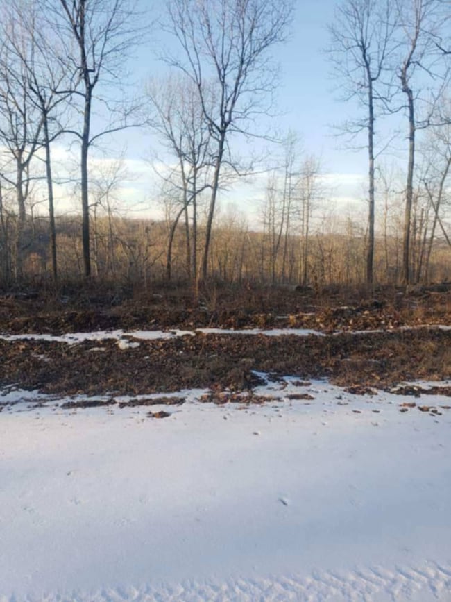 TBD Corner of Ring Rd and Upper Janes Creek, Ravenden Springs, AR 72460 - photo 4