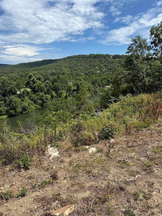 12950 Highway 5, Norfork, AR 72658 - photo 4