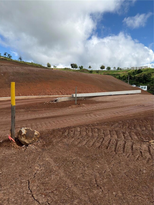 0 Carr 155 Km 31 2 Int Bo Barros unit Lote 3, Orocovis, PR 00720 - photo 5