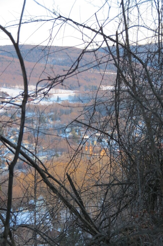 unlisted-address, Adams, MA 01220 - photo 7