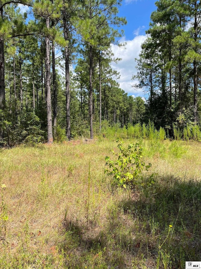 0 Bradford Rd, Choudrant, LA 71227 - photo 3