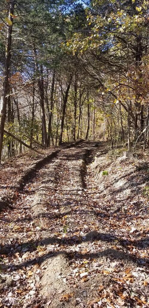 0 107 Ac Board Valley Rd unit 1137801, Cookeville, TN 38506 - photo 7