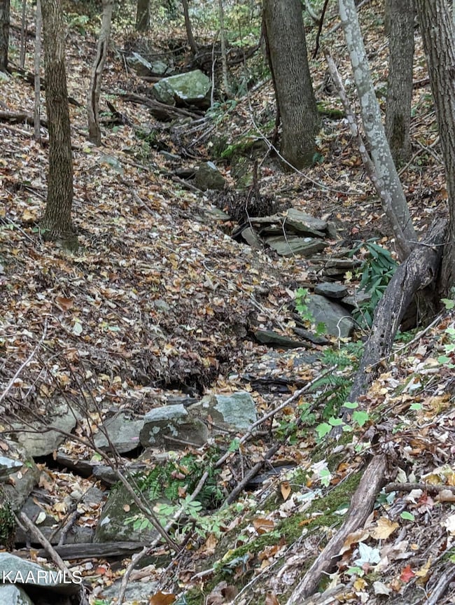 0 Thompson Tr unit 1209854, Winfield, TN 37892 - photo 4