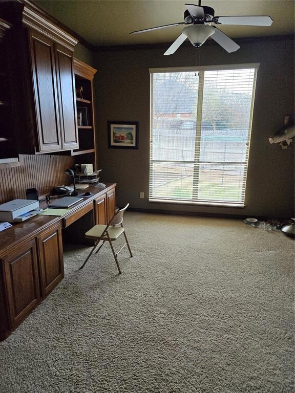 Carpeted office space with ceiling fan and a healt