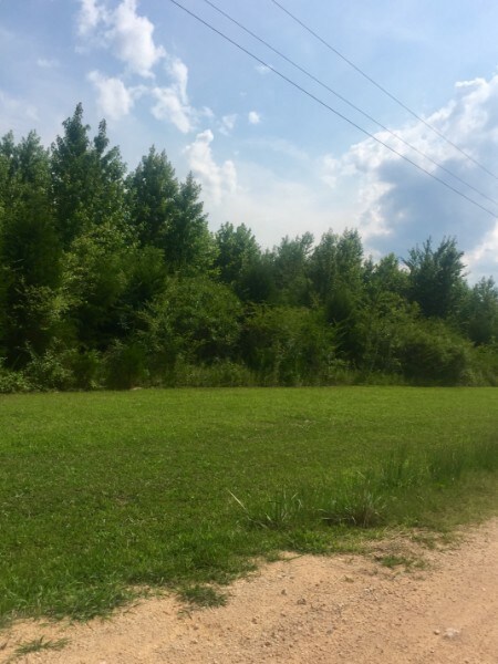 0 Whitaker Bnd Rd unit RTC2359634, Linden, TN 37096 - photo 2