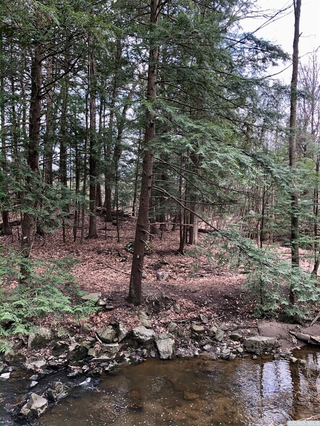 23 Woodpecker Ct, Coxsackie, NY 12051 - photo 2