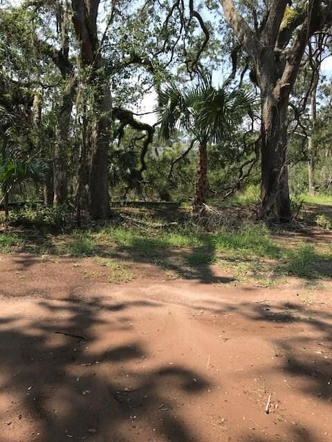 Homesite fronts marsh and oaks