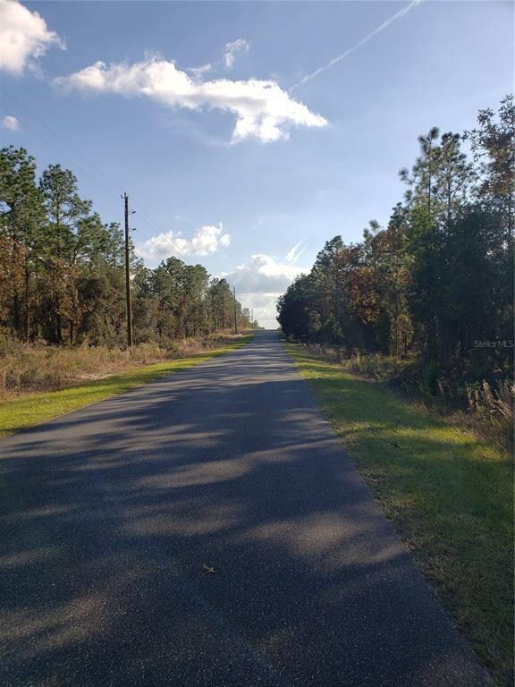 Lot 12 SW Persimmon Ln, Dunnellon, FL 34431 - photo 6