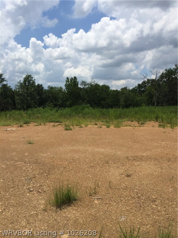 9614 Wey Bridge Dr, Fort Smith, AR 72916 - photo 3