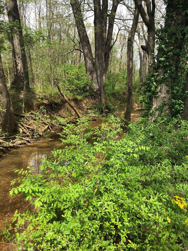 0 Main St, Pleasant View, TN 37146 - photo 3