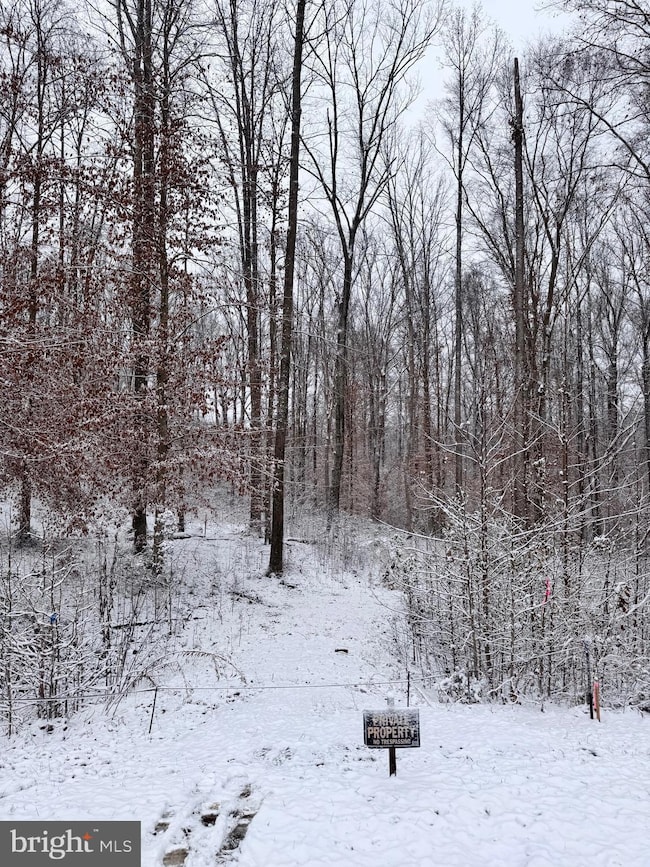 71 Alexandra Cir, Bumpass, VA 23024 - photo 2