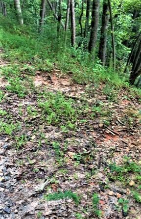 0 Old Crows Dr unit 238 3785446, Lake Lure, NC 28746 - photo 3