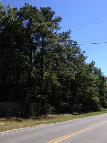 23 Ac Johnson Rd, Crescent, GA 31304 - photo 2