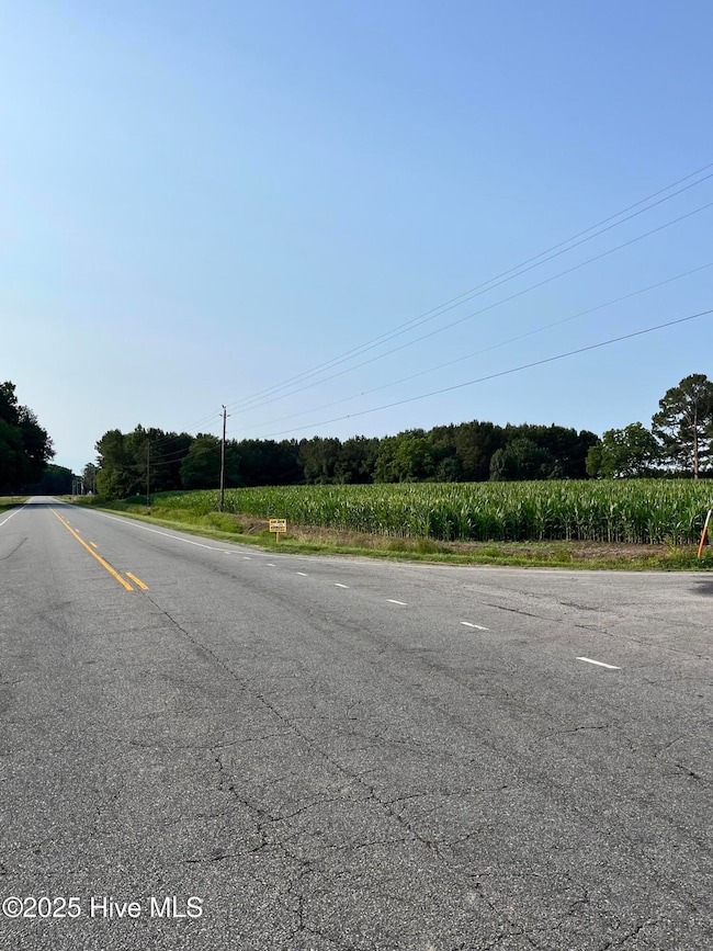 0 Hobbton Hwy unit 100510708, Newton Grove, NC 28366 - photo 6