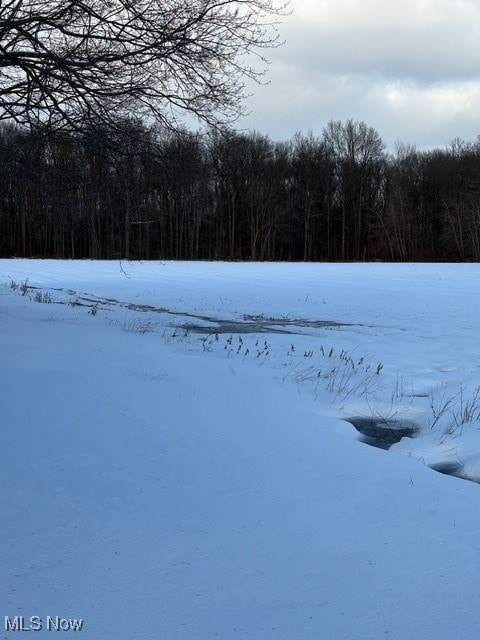 0 Griggs Rd unit 5176126, Jefferson, OH 44047 - photo 4