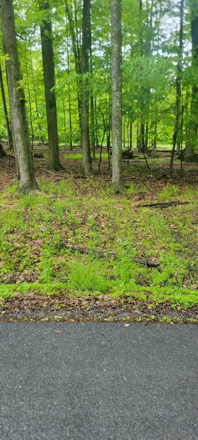 20250528_092646