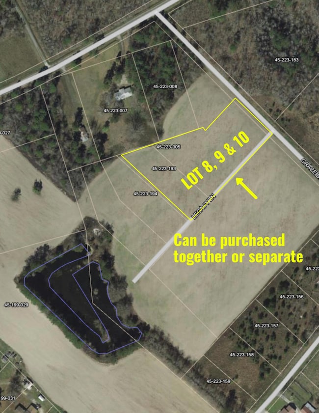 0 Grace Drive 0 Legacy Ln, Kingstree, SC 29556 - photo 2