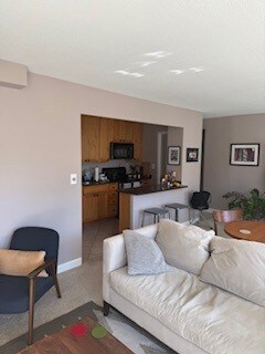 1400 N State Pkwy unit 8E, Chicago, IL 60610 - photo 6