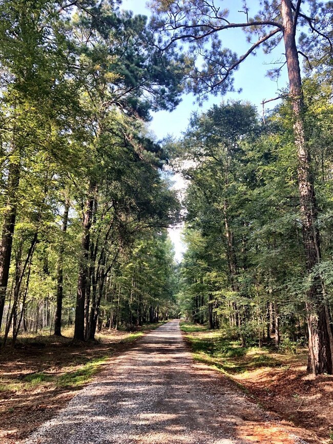 112 Rivermist, Macon, GA 31210 - photo 6