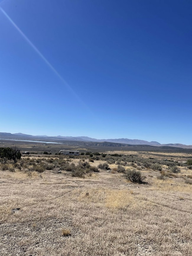 TBD Emigrant Trail, Spring Creek, NV 89815 - photo 5