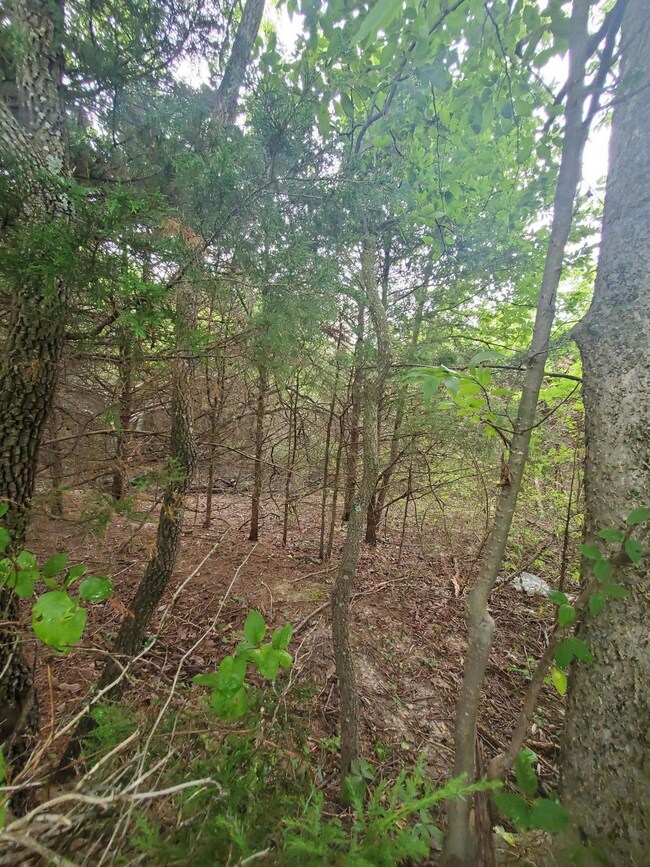 5 acres
