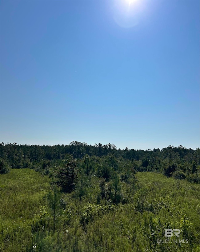 24300 Highway 41, Brewton, AL 36426 - photo 4