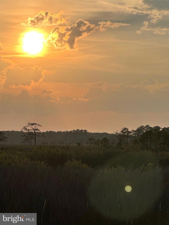 2411 Crapo-Wingate, Crapo, MD 21626 - photo 3