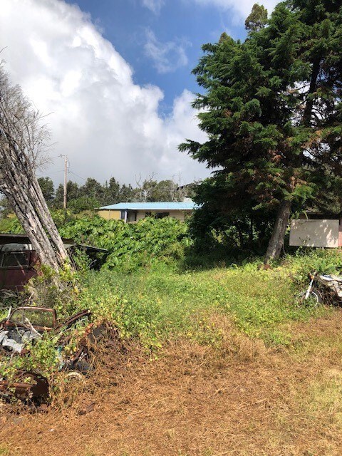 View of house coming up Palm lot.