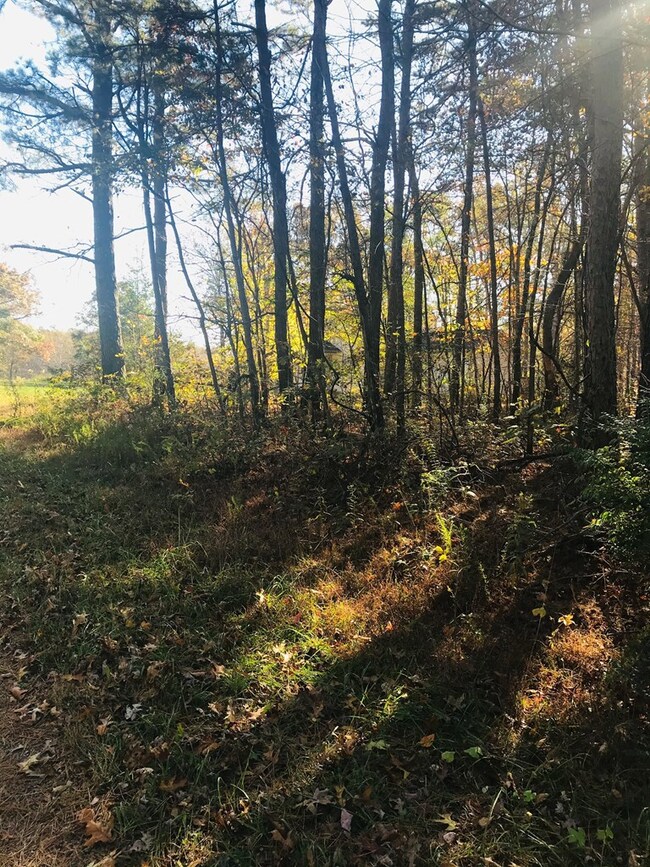 lot 7 Bell Rd, Crossville, TN 38571 - photo 3