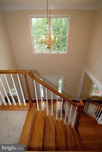 3006 Popkins Ln, Alexandria, VA 22306 - photo 3