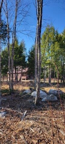 Wooded view of the Cabin