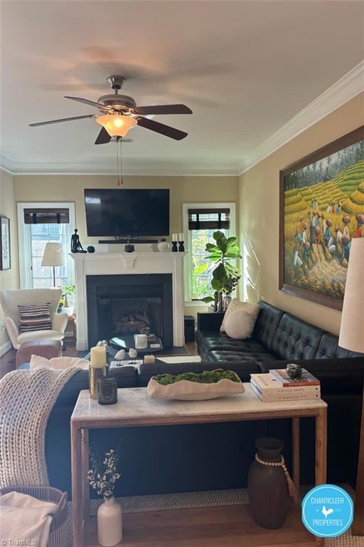 716 Carneros Cir, High Point, NC 27265 - photo 7