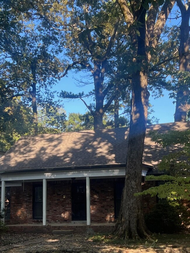 View of rear view of house