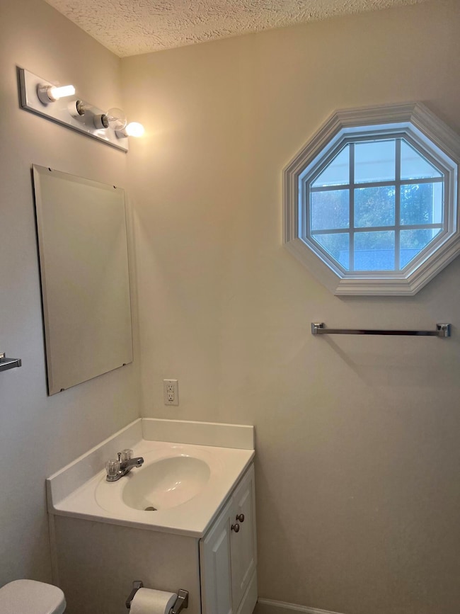4. Primary Vanity