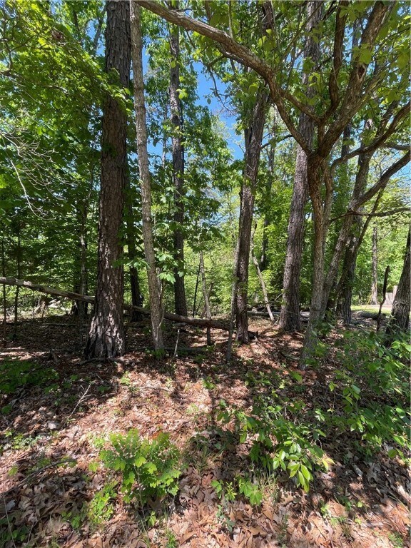 0 Filkins Ln, Bella Vista, AR 72714 - photo 2