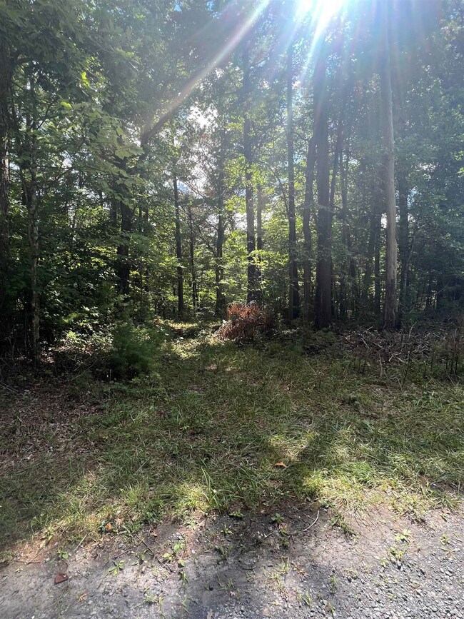 0 Sarah Ln unit 655776, Basye, VA 22810 - photo 5