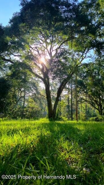 5043 Goodwin Rd, Brooksville, FL 34601 - photo 4