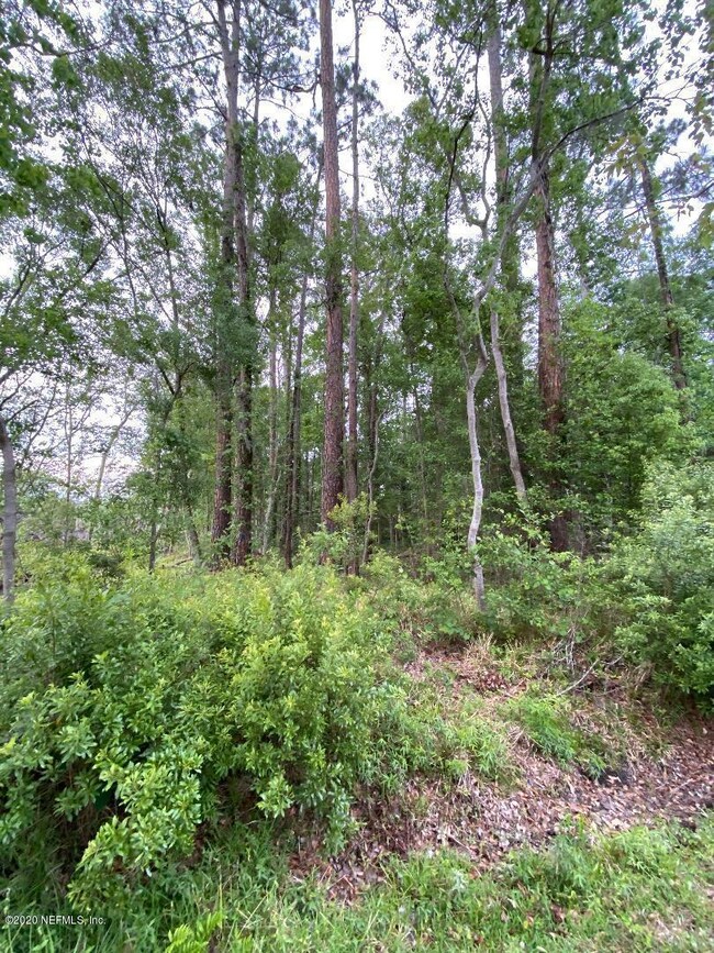 0 Rosedale Ln unit 1049710, Jacksonville, FL 32244 - photo 2