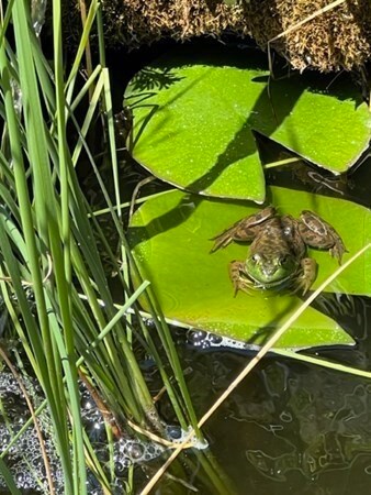 61 Pomeroy St, Easthampton, MA 01027 - photo 7