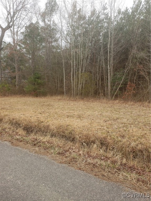 7016 Chippokes Rd, Spring Grove, VA 23881 - photo 3