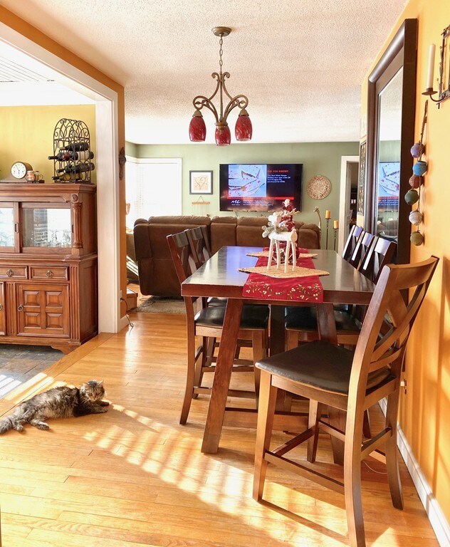 597 Westhampton Rd, Florence, MA 01062 - photo 5