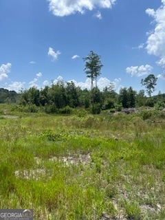 87.21 AC Bay Branch Church Rd, Claxton, GA 30417 - photo 5