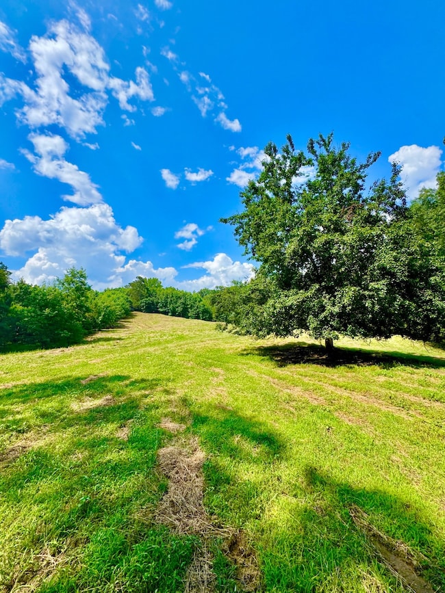 0 Bailey Rd, Double Springs, AL 35553 - photo 7