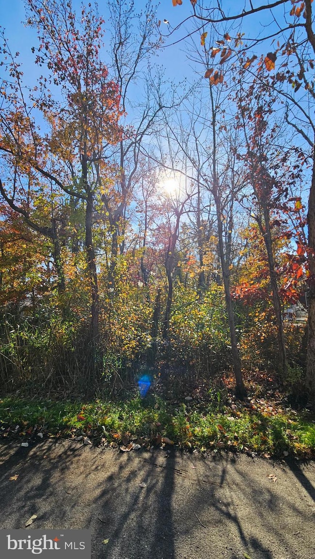 1217 Cross Rd, Annapolis, MD 21403 - photo 4