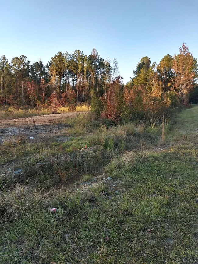 IMG_20191110_171417920_HDR