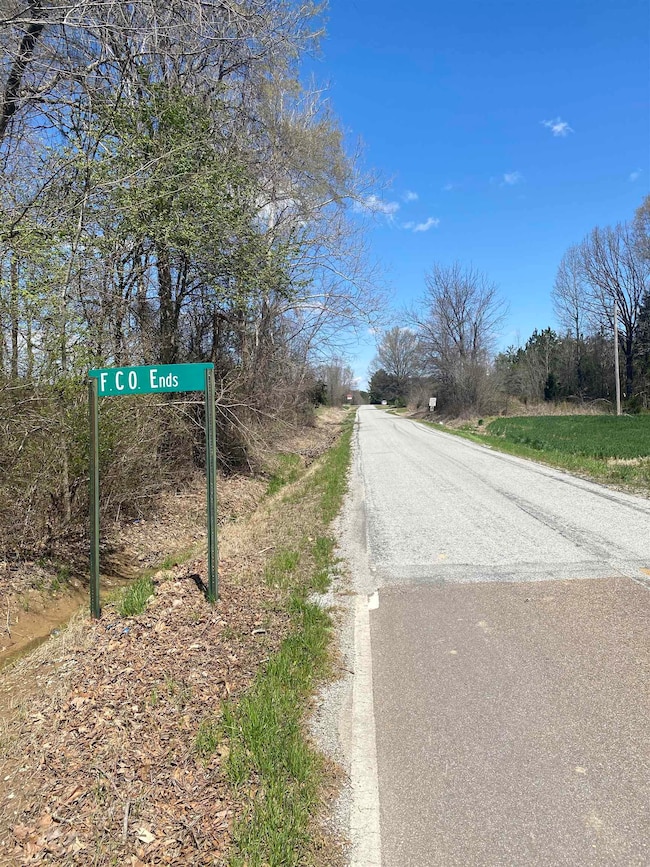 00 Fredonia Rd, Mason, TN 38049 - photo 4