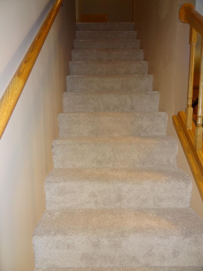 New carpet on steps and all of upper level!